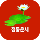 ֻ